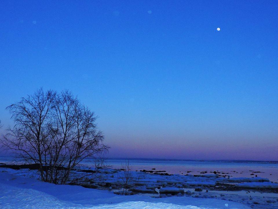 Motel De La Pointe Aux Bouleaux Baie-Sainte-Catherine Zewnętrze zdjęcie