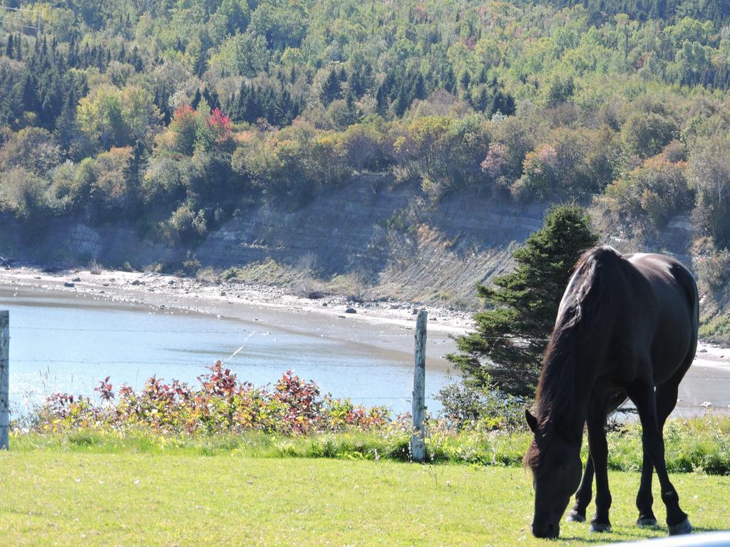 Motel De La Pointe Aux Bouleaux Baie-Sainte-Catherine Zewnętrze zdjęcie